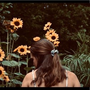 Meet your Posher, Haley